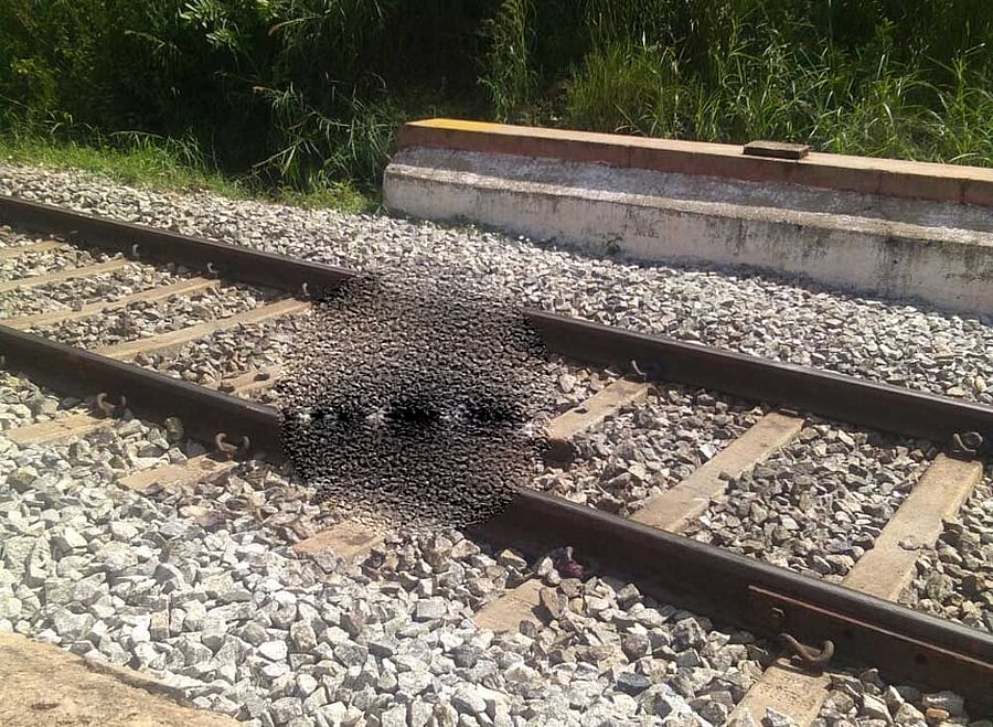 The incident happened near Bidadi's Manchanayakanahalli, Wonder La gate where the trio is said to be on track and trying to take a selfie with the moving train. DH Photo