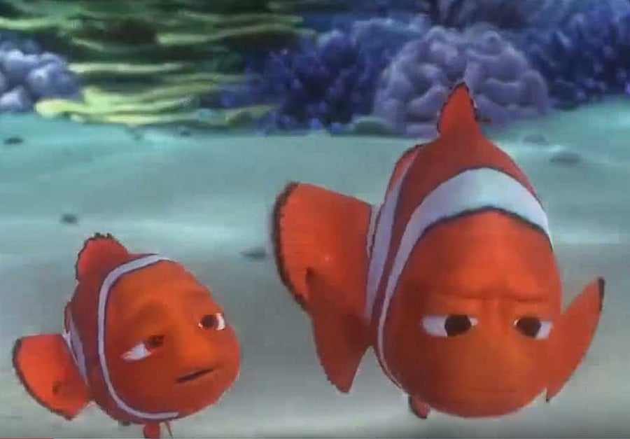 Closely related to corals, sea anemones are invertebrate marine creatures that live in symbiosis with algae, which provide them with food, oxygen and colour.