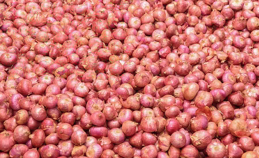 The minister attributed the decline in cultivation to the crash in onion prices earlier this year and the unseasonal rain towards the end of monsoon season.