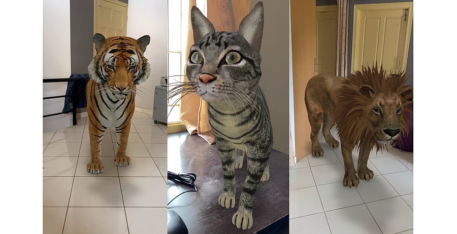 Google AR feature on Apple Safari (DH Photo/Rohit KVN)