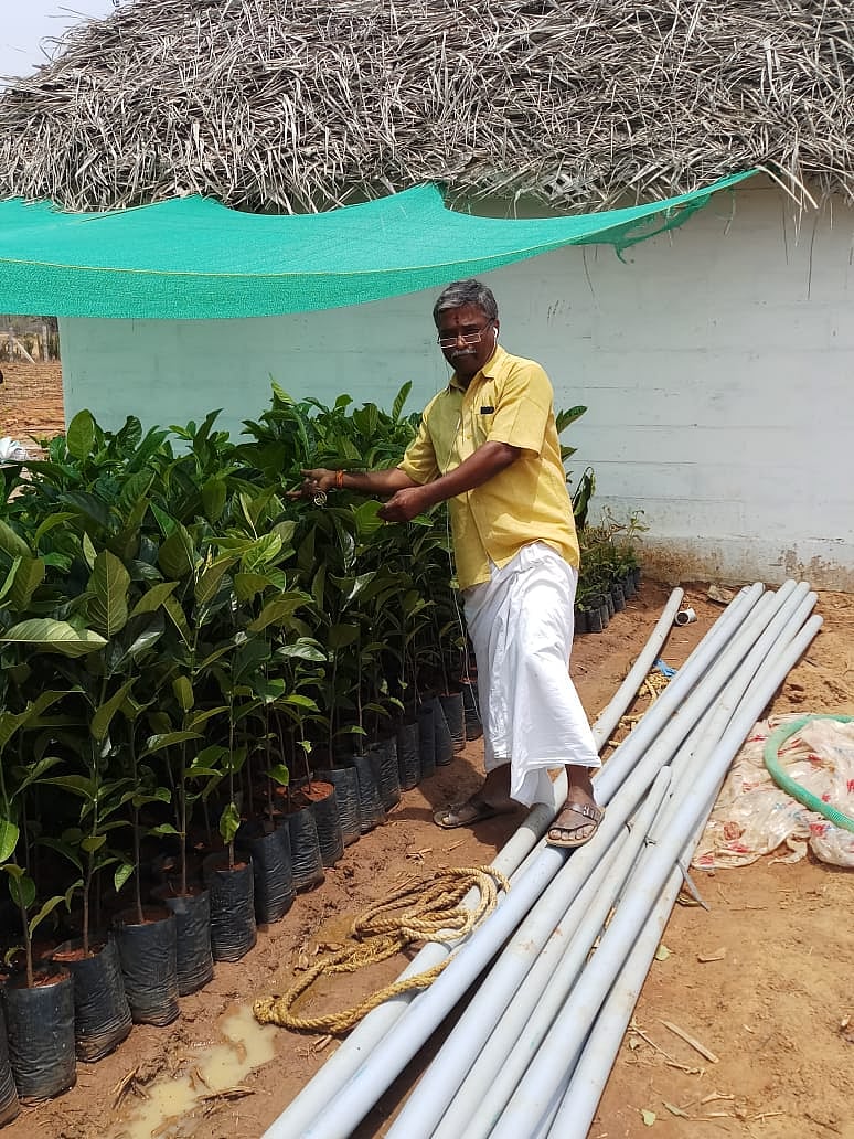 'Kumizh' Shanmugasundaram at his farm in Pudukkottai district/DH Photo