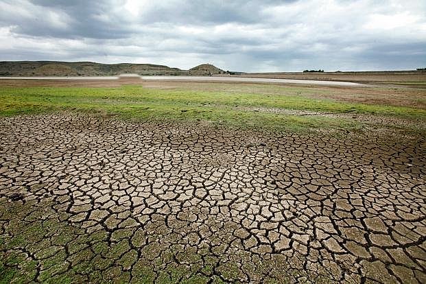 Drought-affected Marathwada and Vidarbha region, comprising 19 districts, is a hotbed of farmers’ suicides. Representative Image/All India Radio News Twitter