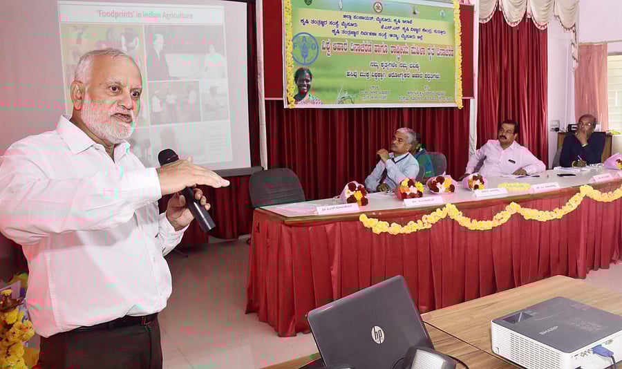 Prof S Ayyappan (DH File Photo)