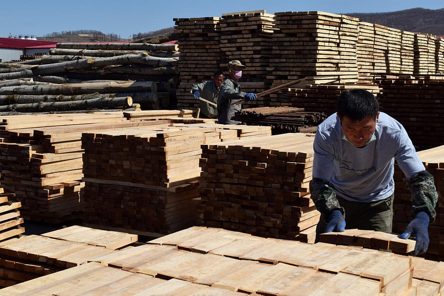 Employees work at a wood factory following an outbreak of the coronavirus disease (COVID-19), in Suifenhe (Reuters Photo)