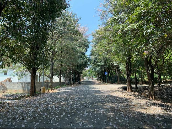 (Photos by Kapil Kajal)