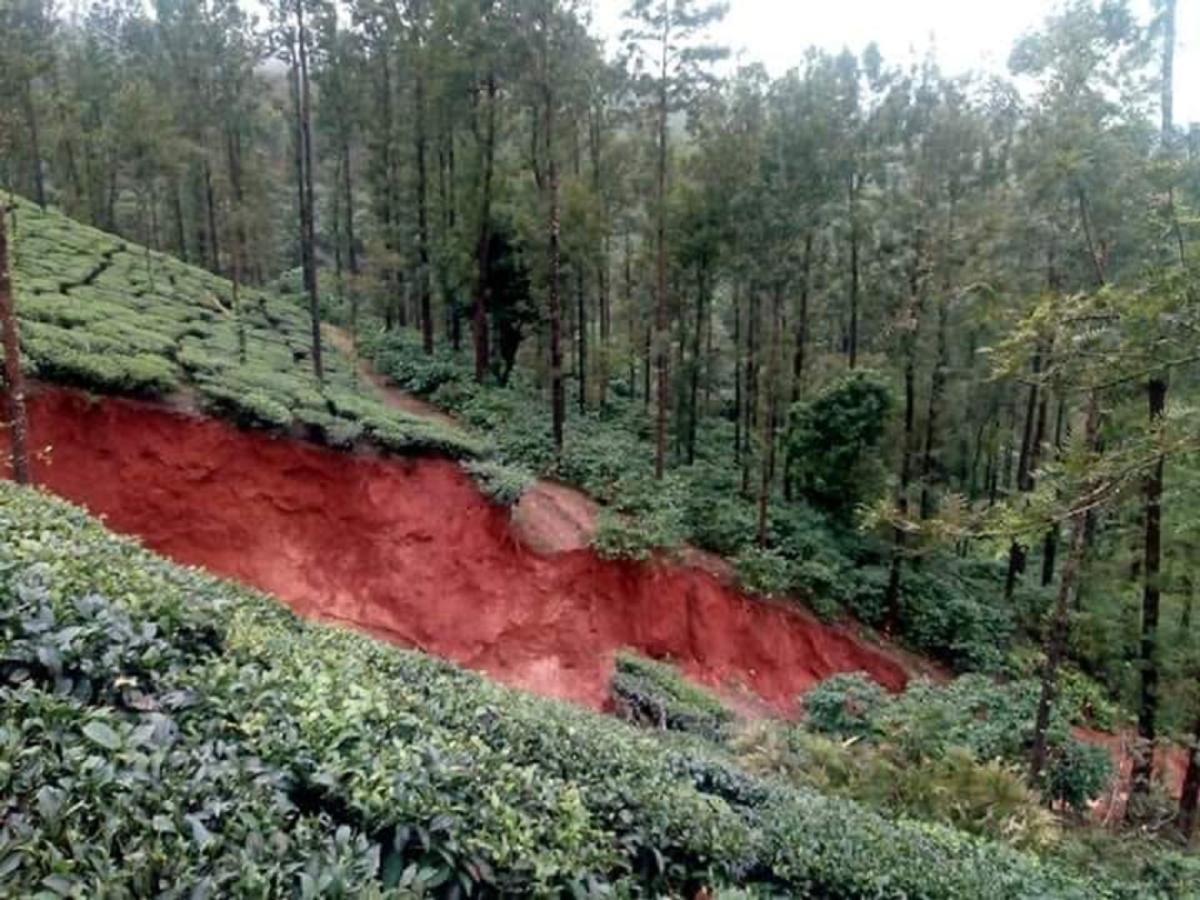 A view of the landslide at Mysuru Plantations, Bhoothanakadu, Chikkamagaluru district. DH Photo