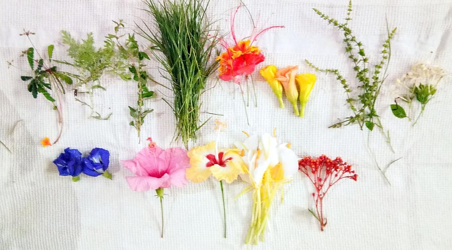 Flowers and leaves used for preparing chudi.