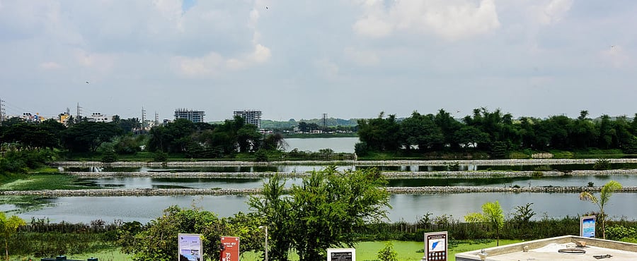 Agara Lake, Sarjapur Road. DH FILE PHOTO