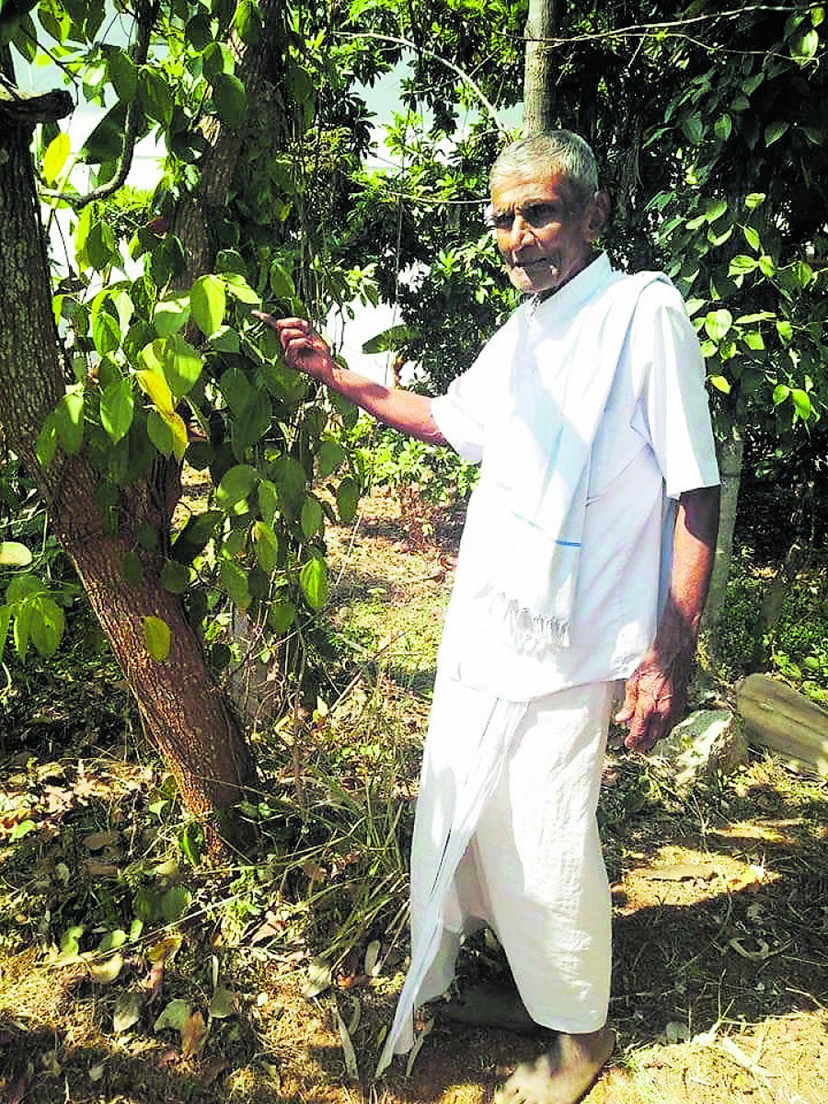 Organic farmer Narayana Reddy dies at 83