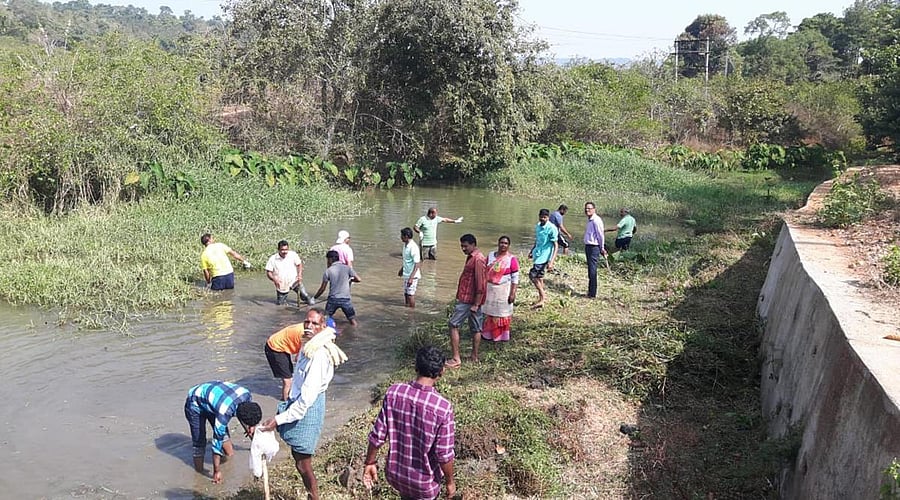 Volunteers of Sundekere Nadi Ulisi Abhiyana cleaned the Sundekere river at Mudigere town on Sunday.