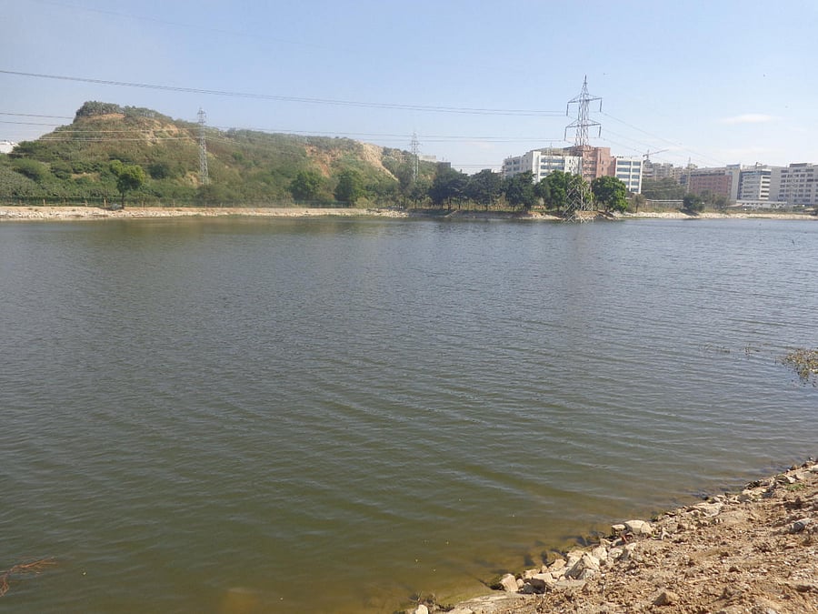 The rejuvenated Kundalahalli Lake.