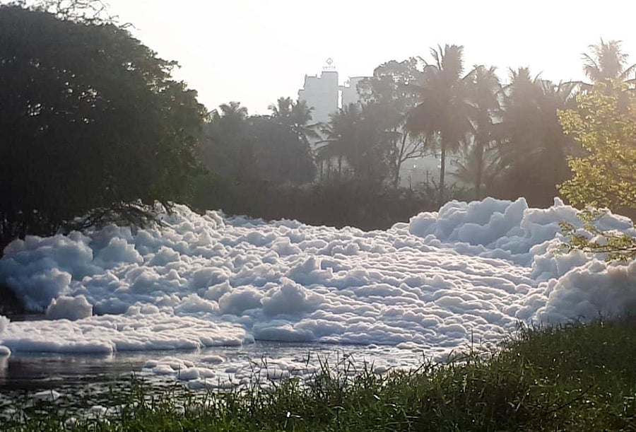 Frothing at Varthur lake near Varthur kodi on Tuesday morning.