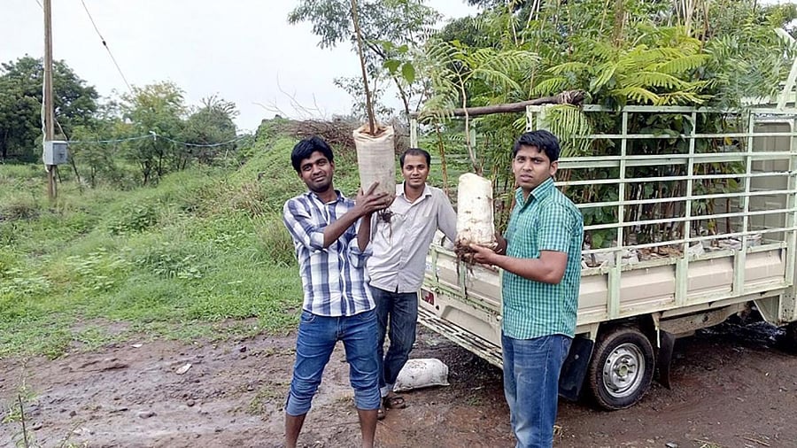 Voluntary effort: Members of the Babaleshwarada Belaku trust organise various activities such as plantation drive.