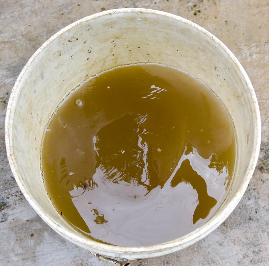 This is how residents found the water they had stored. DH Photo/BH Shivakumar