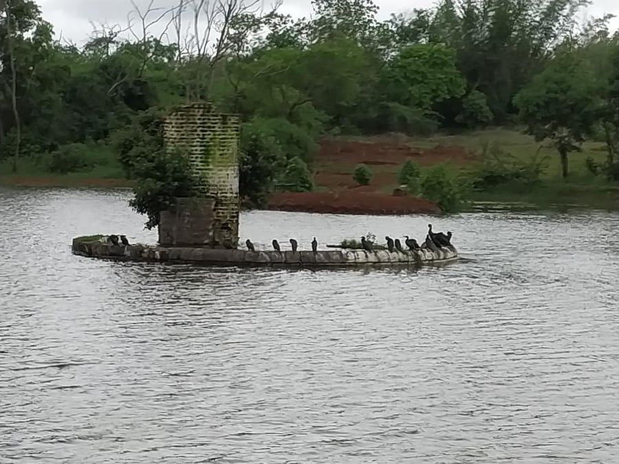 Views of Argan Lake in Belagavi after the revival work; Photos by author