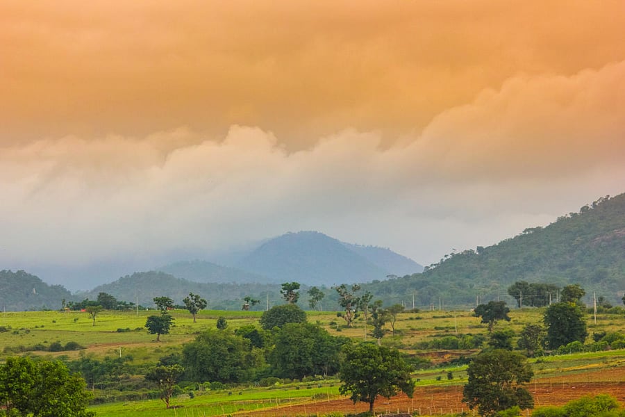 Hills in Mudigere