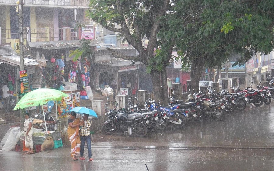 Heavy rain lashed Mudigere on Saturday.