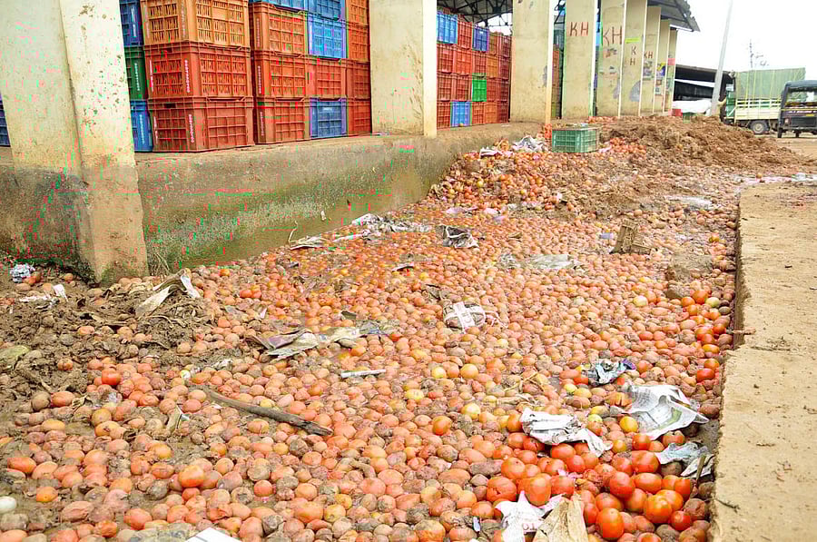 The drain at the APMC yard in Chikkamagaluru is choked by rotten tomatoes.