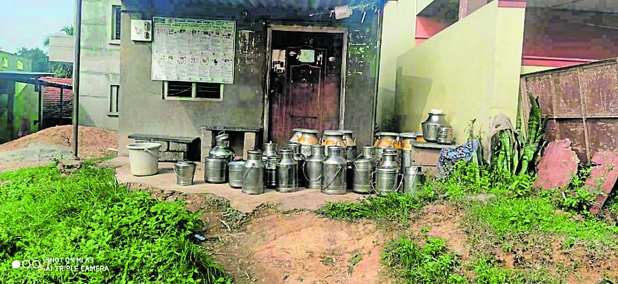 Milk cans pile up outside the KMF milk collection point at Agara village in Kanakapura taluk, Ramanagara district, on Sunday morning after KMF officials refused to collect them. SPECIAL ARRANGEMENT