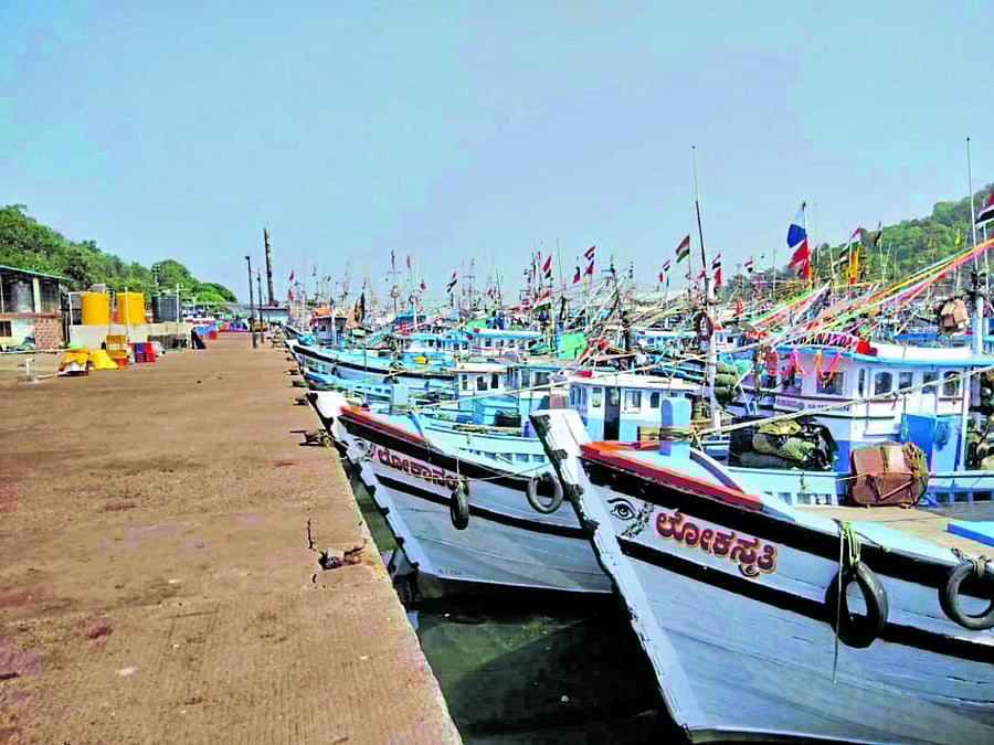 Fishing activity
