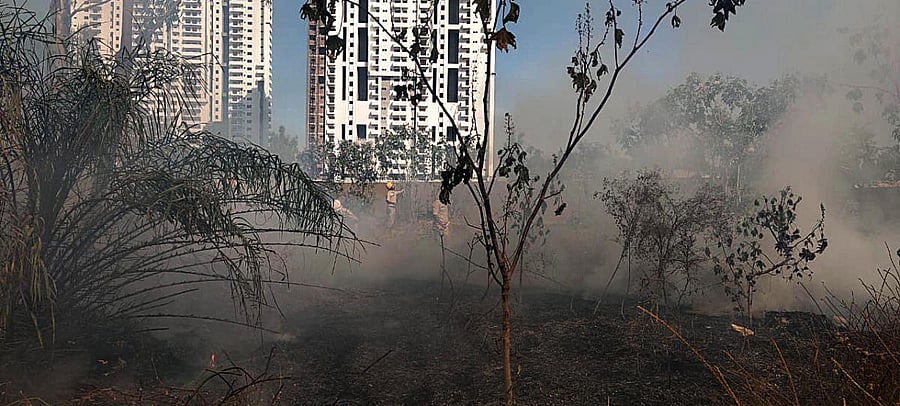 An accidental fire in an open ground triggered a false alarm about the lake going up in flames once again.