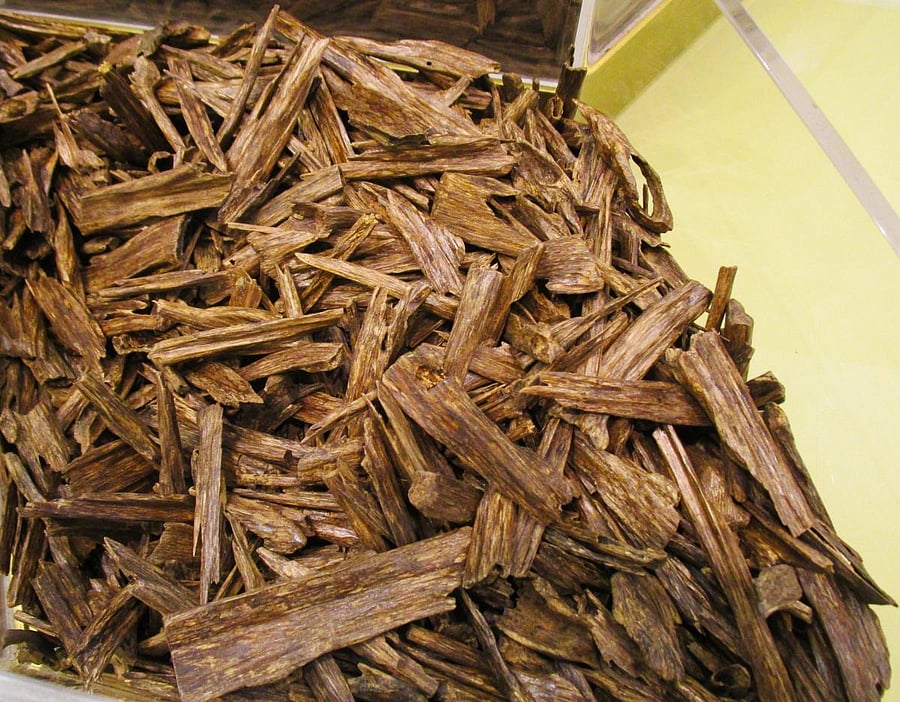 Agarwood, a natural disinfectant