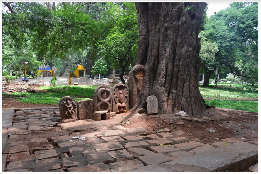 The programme kicked off with a virtual walk through Sampangiramanagara by Hita Unnikrishnan. She spoke about the relics of the landscape’s past, such as the ashwathkatte that once used to border the Sampangi Lake. Further ahead inside Cubbon Park, one can find the Karaganda Shakti Peetha, a small pond where the Bengaluru Karaga festivities begin.