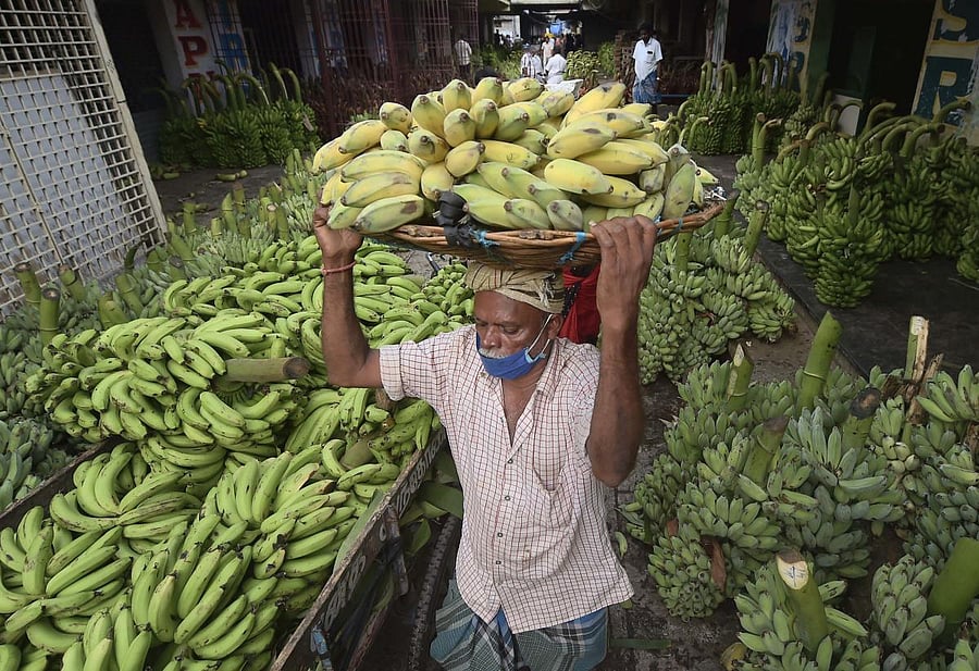 A worker carries bananas after unloading them from a truck during a government-imposed nationwide lockdown to curb the spread of coronavirus, at Koyambedu wholesale market in Chennai. (PTI Photo)