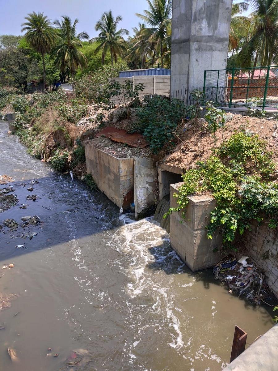 No frothing in Vrishabhavathi, but it still smells bad and the colour is dark. DH photo by Varsha Gowda