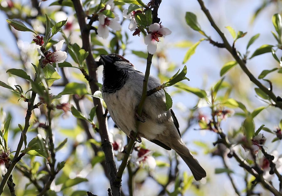 Representative image/AFP Photo