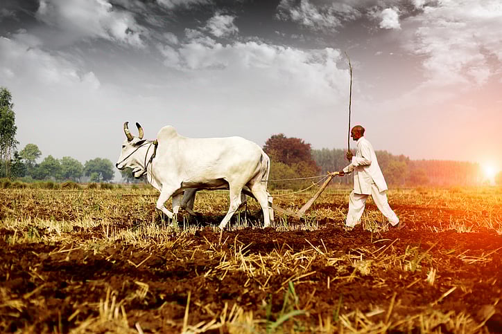 Representative image (iStock)