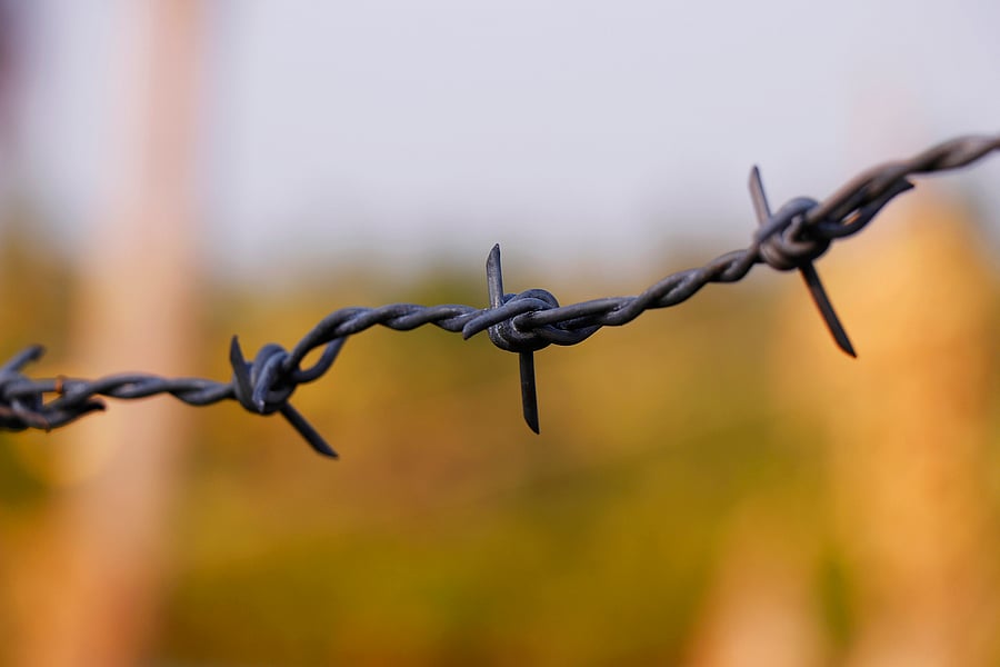 Representative image. (iStock photo)