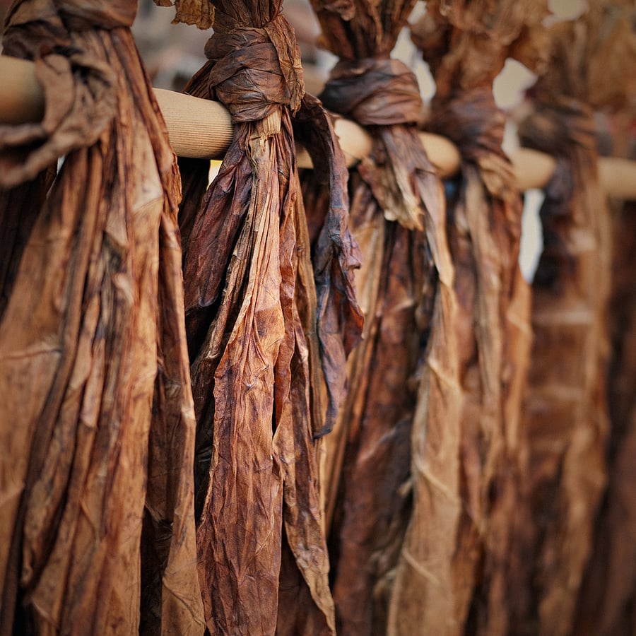 Representative image/iStock