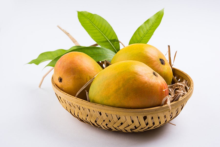 Representative image. (iStock photo)