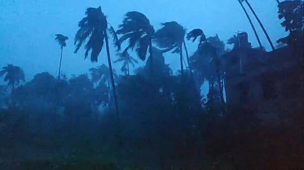 Trees are battered by severe winds from Cyclone Amphan in Kolkata, West Bengal, India, May 20, 2020, in this still image obtained from a social media video. (Reuters Photo)