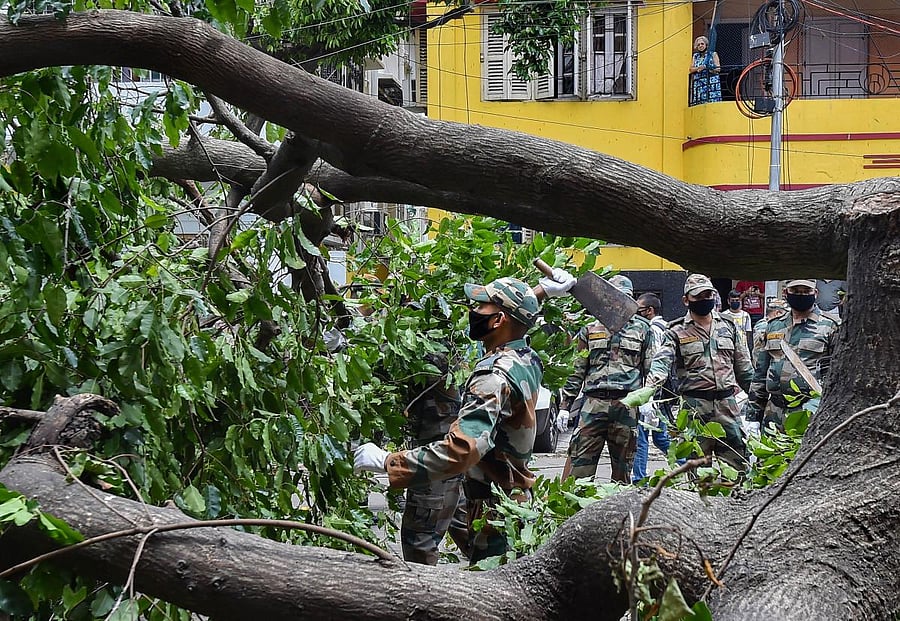 Army personnel cut the branches of an uprooted tree to clear the road blockage, in the aftermath of super cyclone Amphan (PTI Photo)