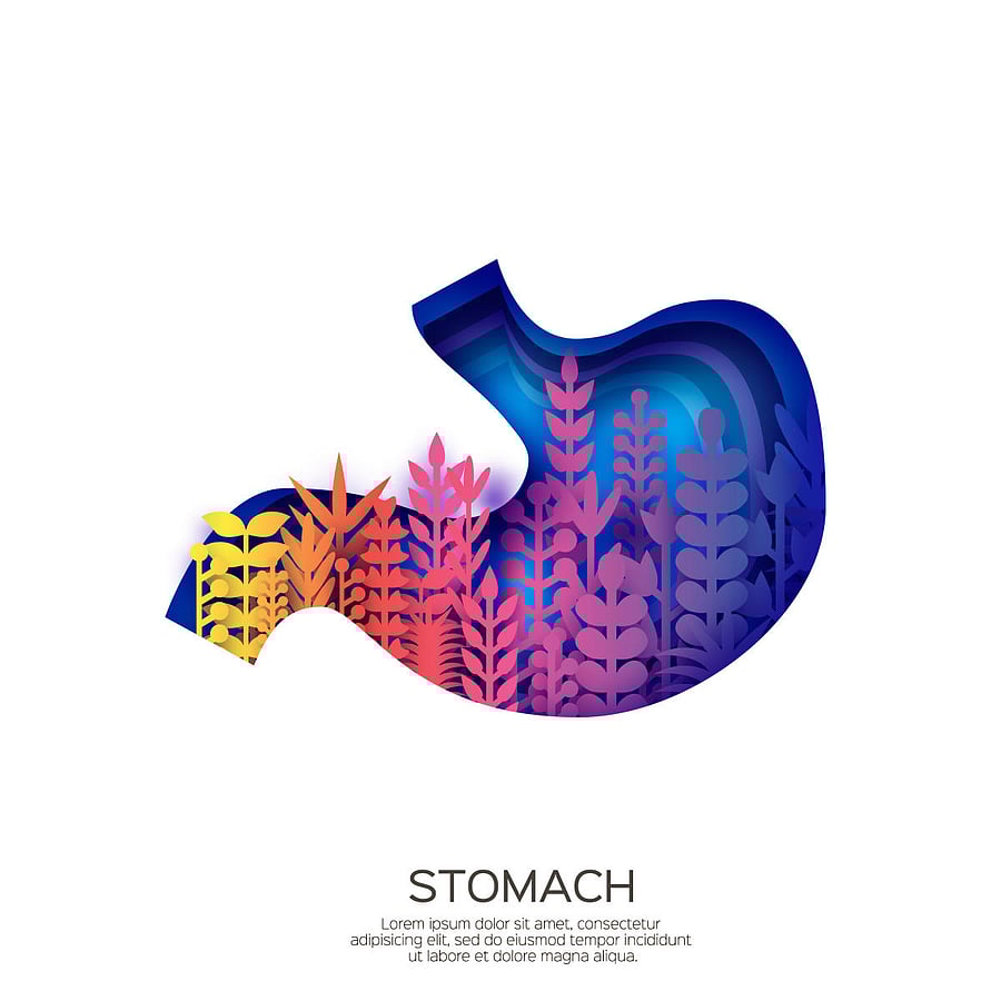 gut health