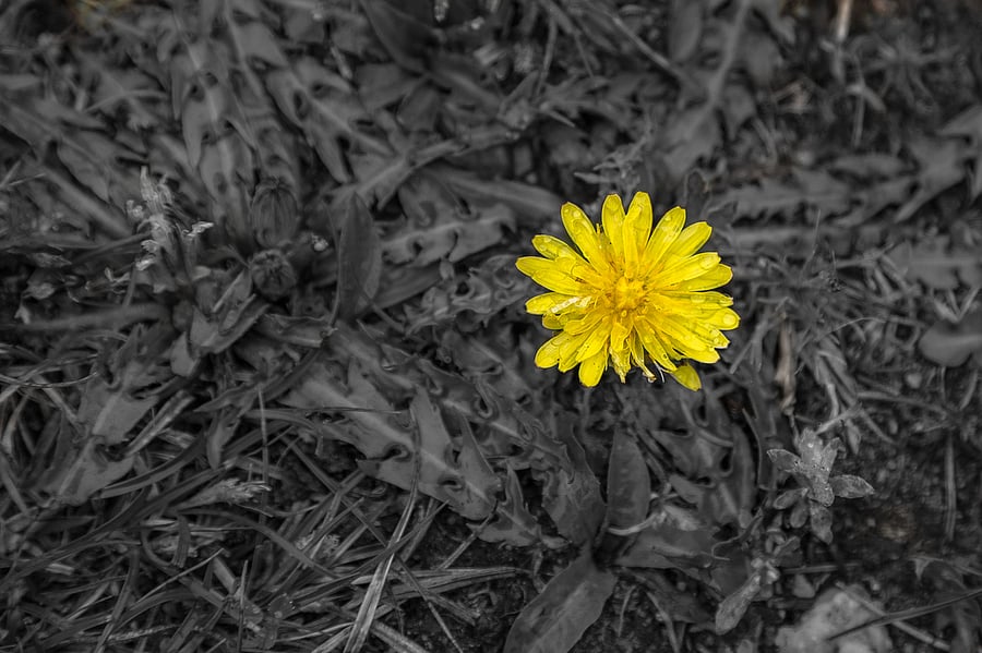 Representative image: iStock Photo