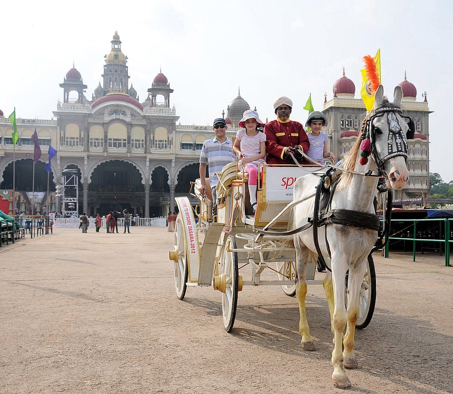 Over 80% of travel and tourism companies in the country have lost up to 100% of their revenues.