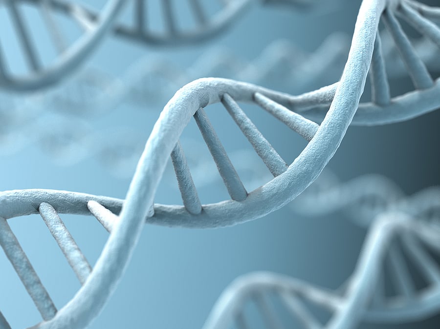 Representative image. (iStock photo)
