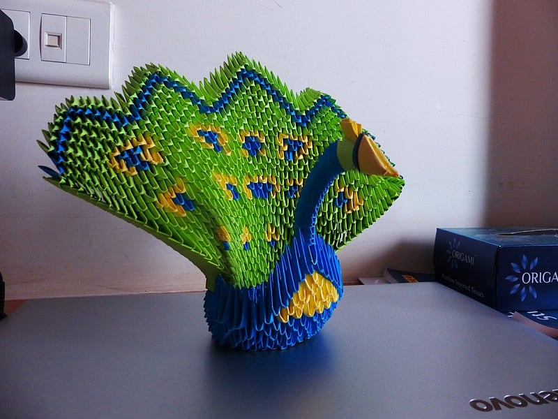 Rishi learnt origami through online tutorials