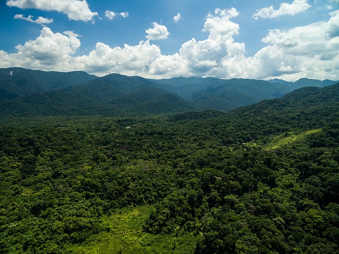 Representative image (iStock)