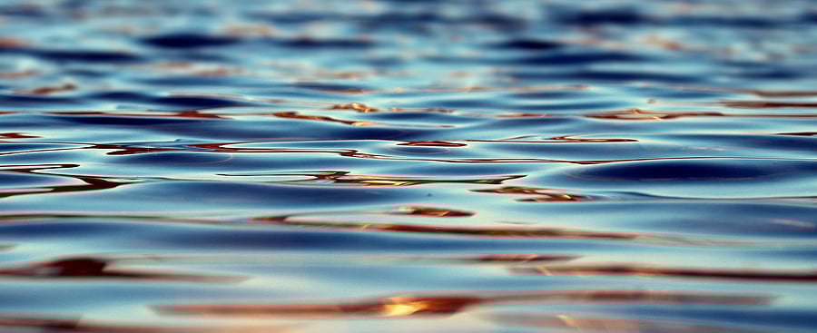 Representative image/Pixabay Image