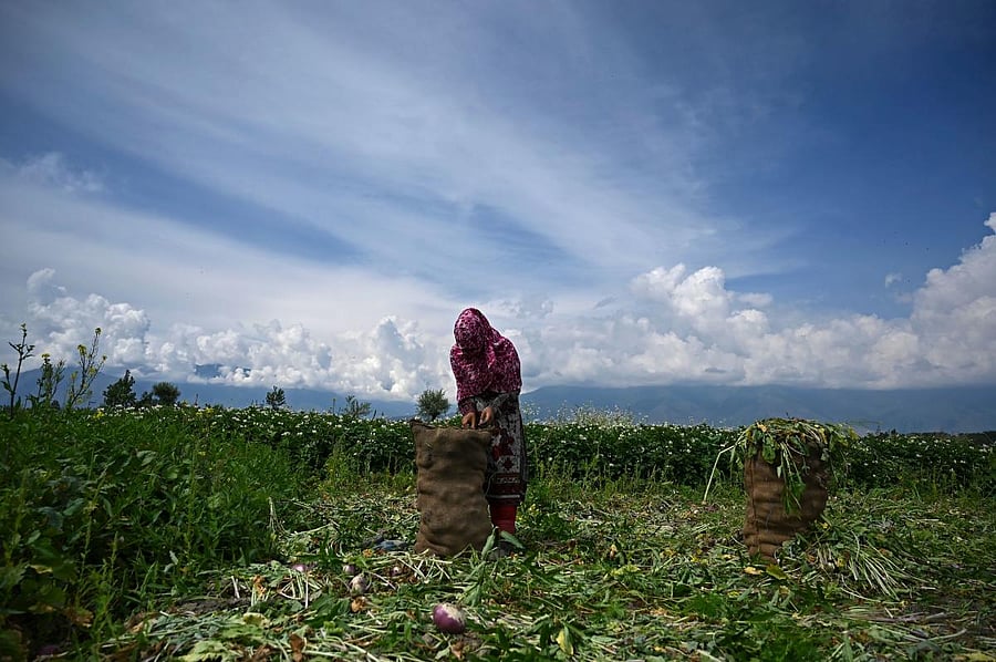 AFP photo for representation