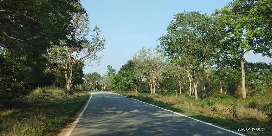 At the same time, another pet-related business is booming...