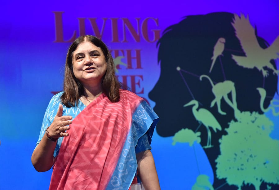 Maneka Gandhi. Credit DH file photo