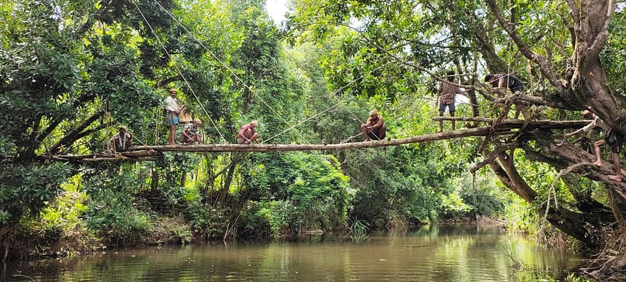Villagers of Hemmige repair a delicate footbridge in Nemmar Gram Panchayat jurisdiction in Chikkamagaluru.