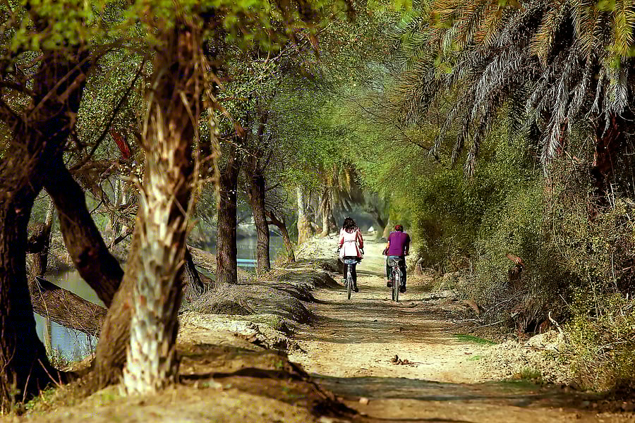 Representative image. Credit: iStock Photo