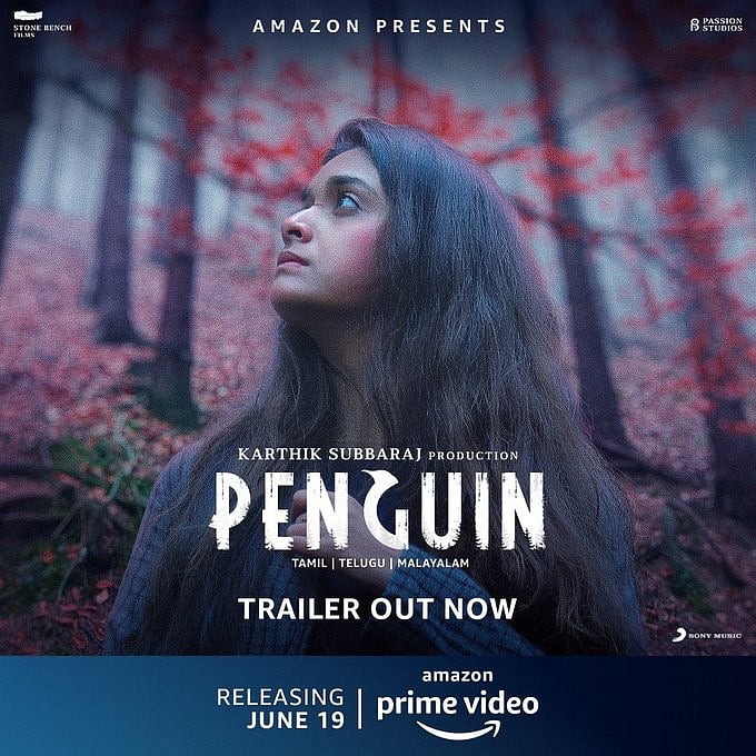 Penguin makes for a good watch. Credit: Twitter/@karthiksubbara