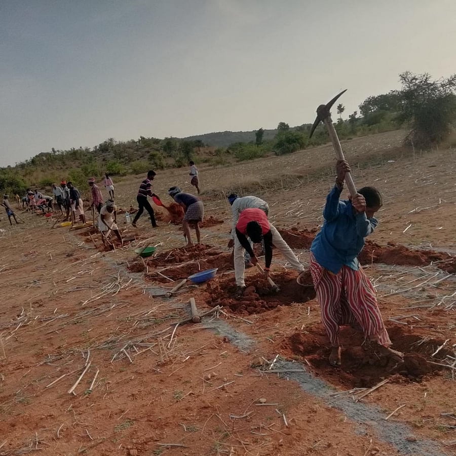 Image for representation (File Photo)